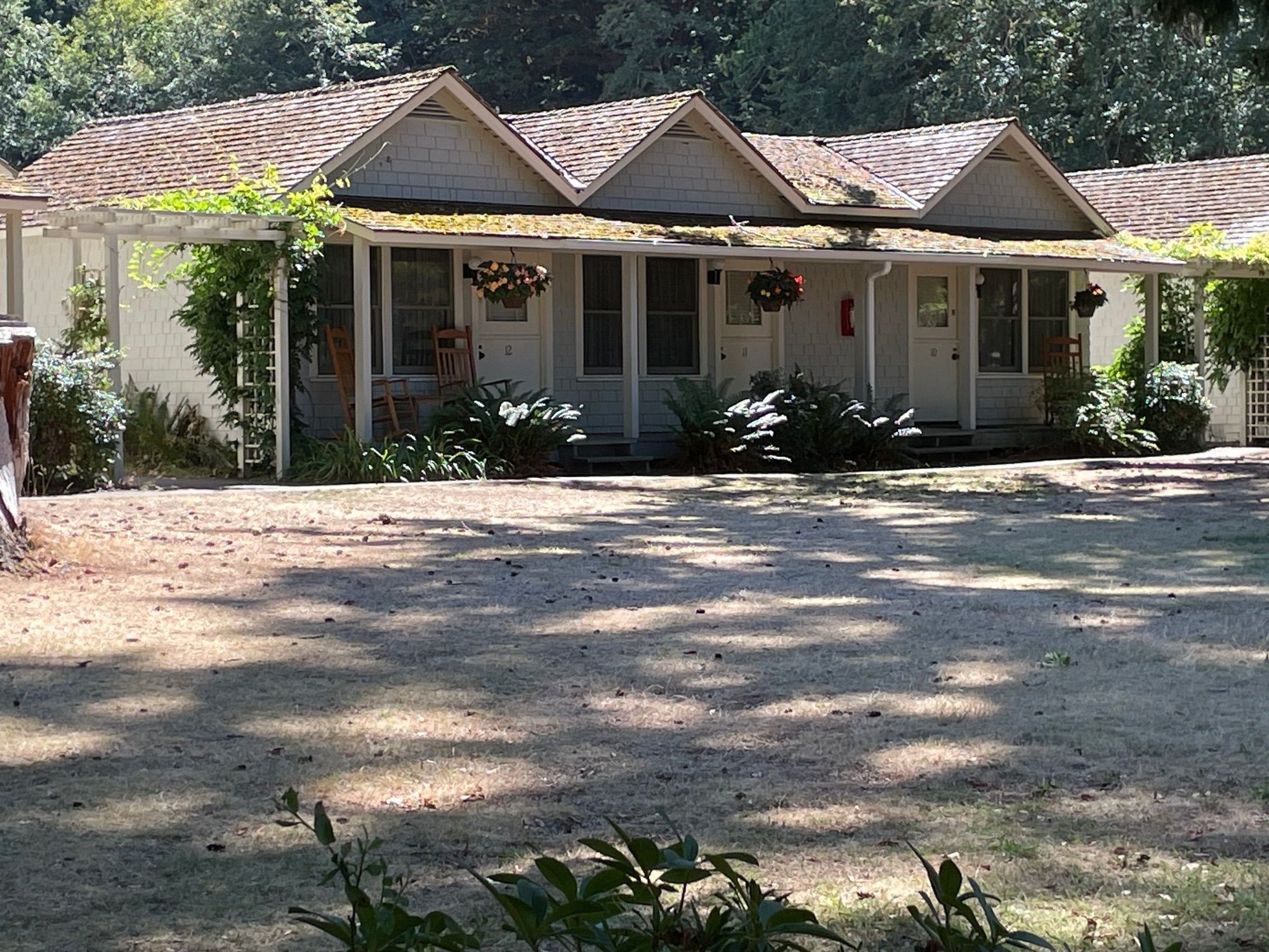 Nice little cottages that look out on the lake.