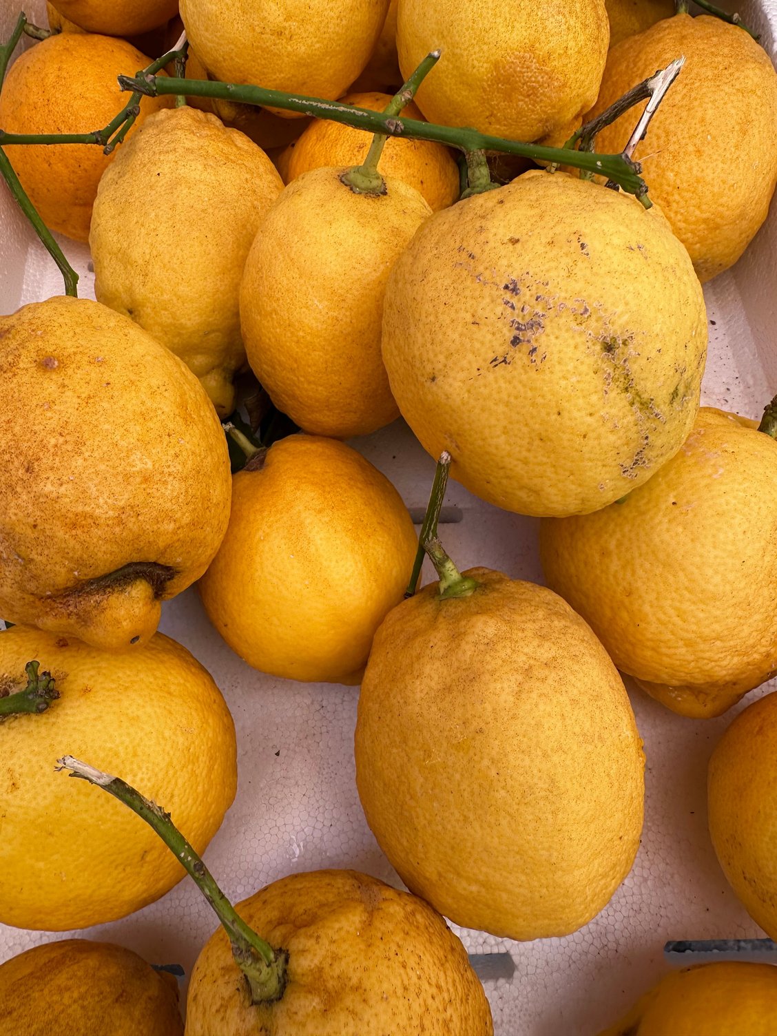 More lemons