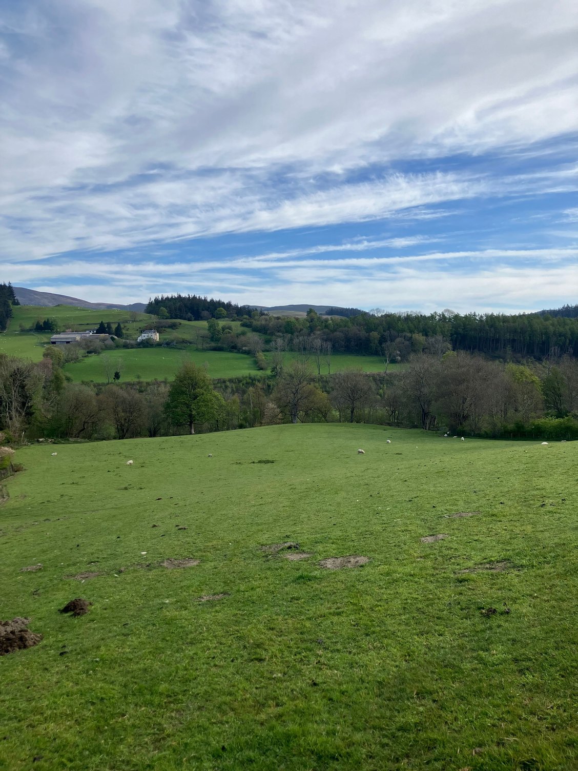 View from cottage windows