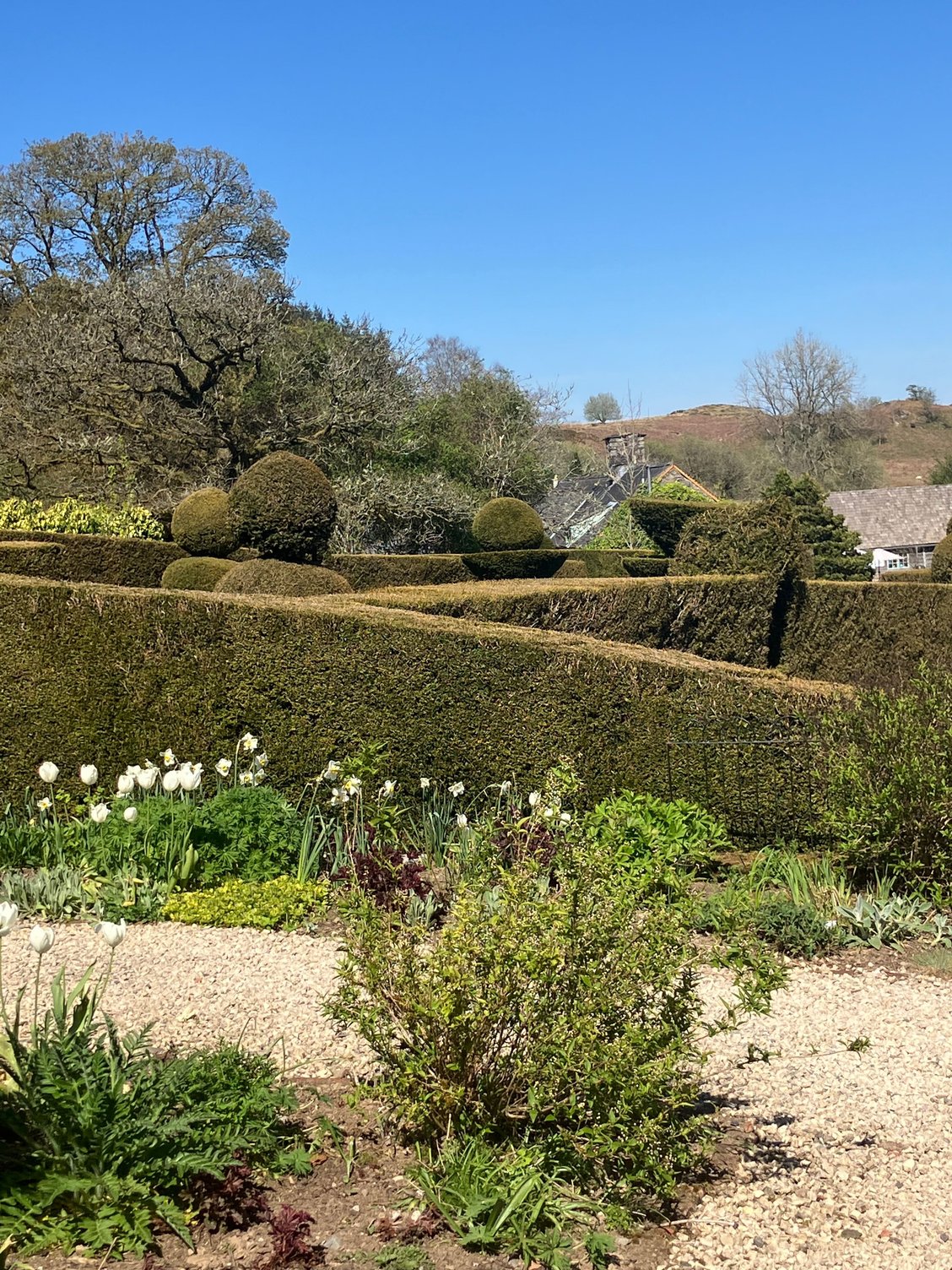 Caerau Gardens - paths between garden rooms
