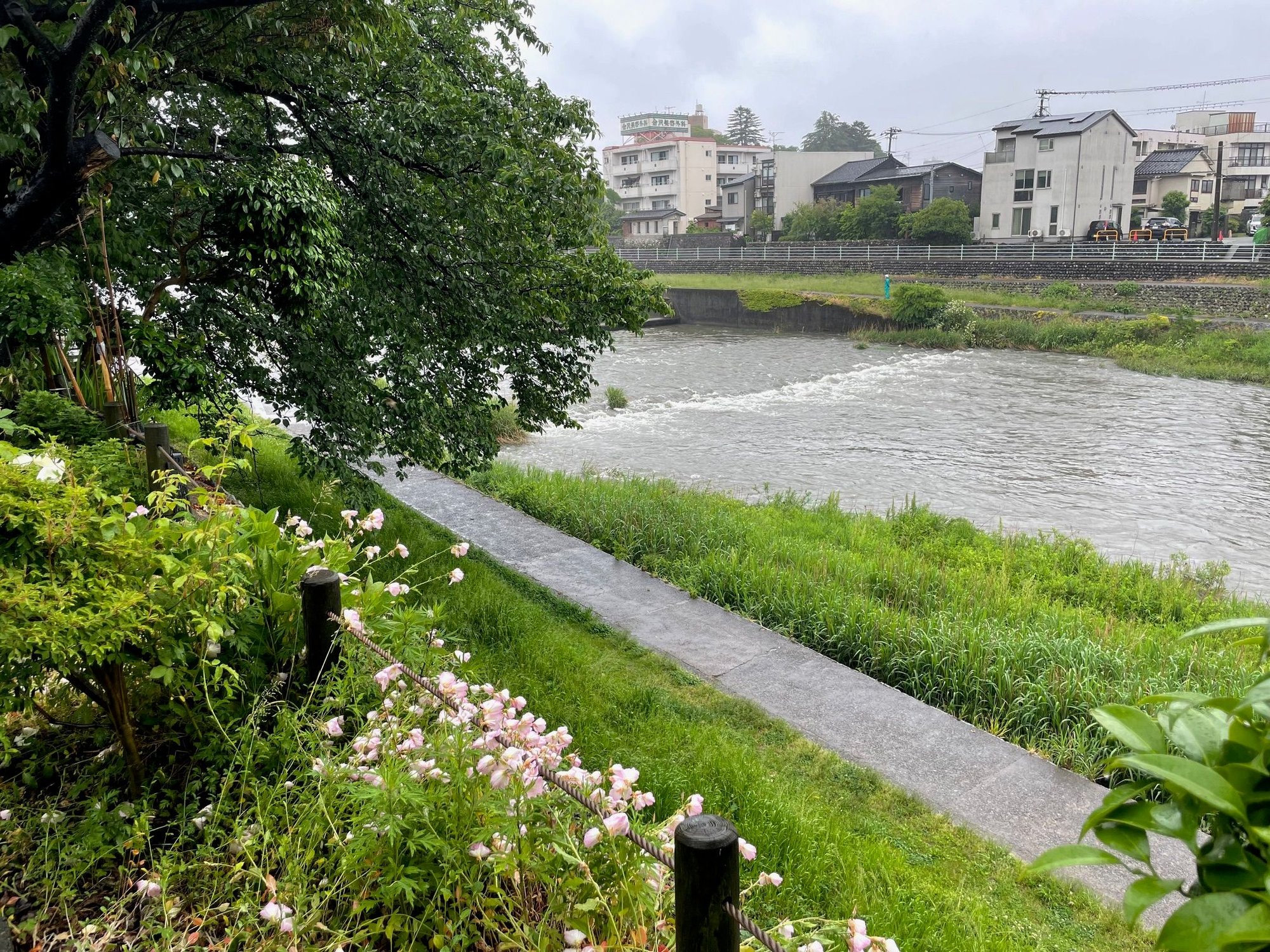 The Sai River was really flowing. On the other side of the river was a city worker, I guess monitoring the water.