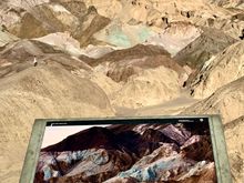 Artists Pallet 