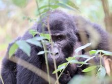 probably my favorite pic.