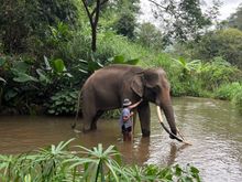 Time to get in the water