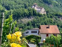 Famous castle 