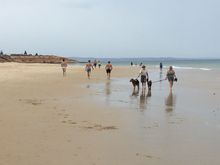 Some eye candy for the girls and pooches for the dog lovers. 