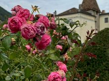 Hofgarten (Giardino di Corte) dates to 1570
