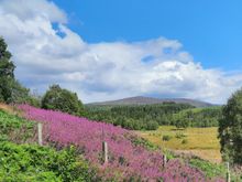 Highlands Wildlife Park