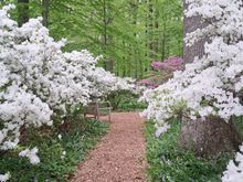 Walking paths are marked with arrows to direct the visitor to the day’s not-to-be-missed spots