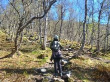 Up the rocky path