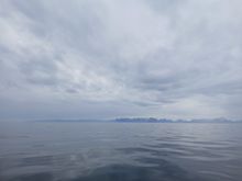 The waters were quite calm, ideal conditions for spotting whales