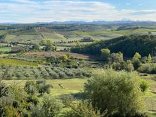 View of the Sienese countryside from our house on a non-rainy day. 