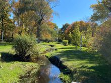 A pretty brook that reminded me of Ireland. 