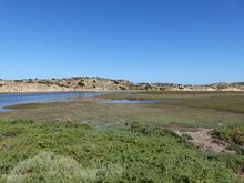 Sand dunes between estuary and sea