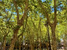 Park