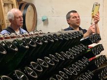 Wine tour and tasting. Bought a bottle. Croatian wine, particularly red wine, is very good!