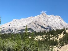 Mountain View’s everywhere 