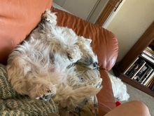 Barry coping with 101 heat