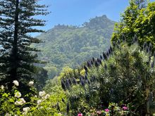 The view from near the Villa