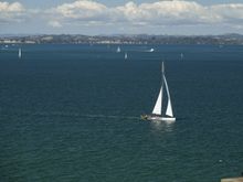 Lots of sailboats today. 