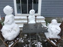 We invited some friends over yesterday but they received a rather chilly reception from us. 