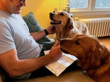 I’ll drop our ballots off at the ballot box on my way to work tomorrow.  #dogsforbiden (and Bullock for senate). 