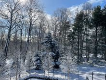 This is the view out my bedroom window. The sun comes up just beyond those trees and I love to have my morning coffee and enjoy this scene. 