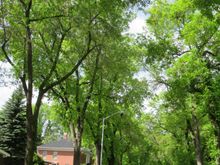A  quaint street  ,a block  behind where Vi and I lived. The next street to  your left is the  River Valley  View Drive          