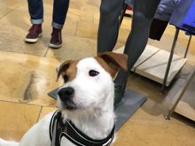 Murphy holding court at Arcterryx 