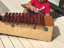 Xylophone time