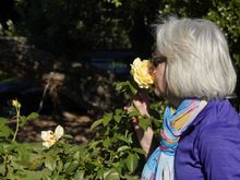  Got to stop and smell the roses every now and then. 