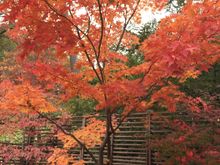 This is a test photo to see if I know how to post pictures.