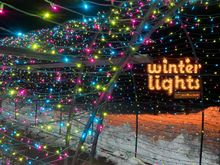 Winterlights show 