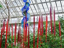 The glass houses were chock-a-block with them