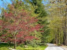 The access road for the neighbor behind us. 