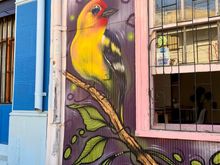 Birds are a very popular subject to paint.