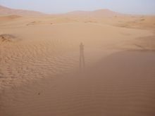 Desert Shadow