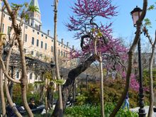 Giardini Reali