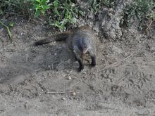 Stopped to see if we have anything to offer