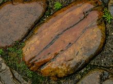 Colourful rock in the rain.