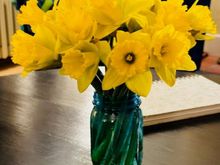 Glad for these. We still have a lot of snow on the ground. Nice to have a little spring in the house.