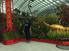 Gardens by the bay