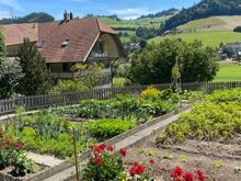 And this is the photo opposite the previous house.. the gardens! So typical of the area. 