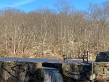 Signs of Spring at Devil’s Den today. It hasn’t been much of a winter but the sunshine still was glorious. 