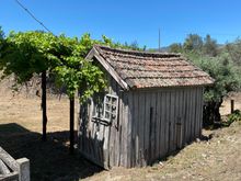 Abandoned shed