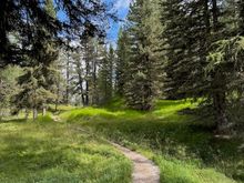 We eventually headed down through the trees towards the mid-station