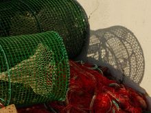 Even their gear was colorful!