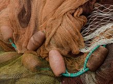 The sun was quite kind to us that day.