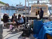 Extended family gathering by the waterfront. 