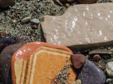 The assortment was a shutterbug's dream.